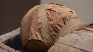 Głowa mumii w muzeum