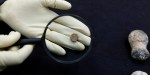 Shlomit Weksler-Bdolah stamped piece of clay from the First Jewish Temple