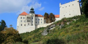 Nie znasz tych zamków? Poznaj je z nami! 8 ciekawych zamków w Polsce [zdjęcia]