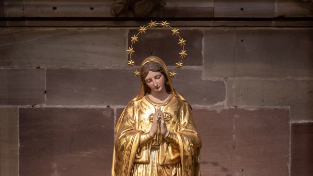 Mary, statue, Strasbourg, cathedral, stars, Notre-Dame