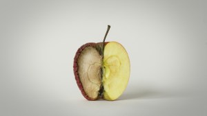 Zestawienie zepsutego i zdrowego jabłka