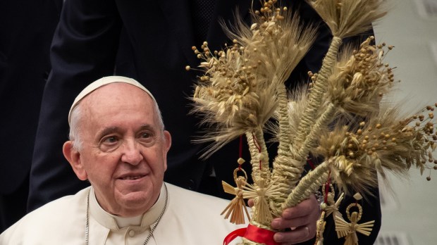 Pope Francis during his weekly general audience in Paul VI Hall