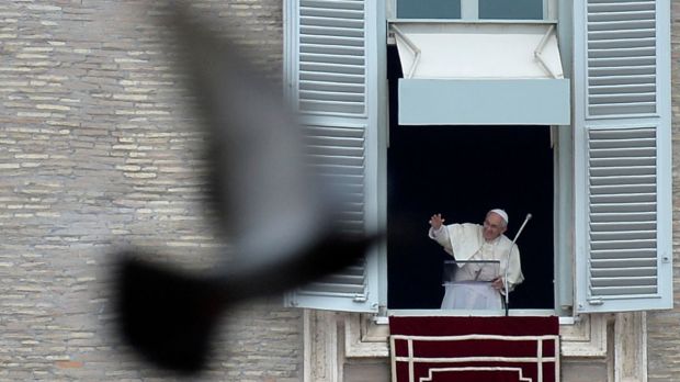 Papież Franciszek w trakcie modlitwy Anioł Pański z gołębiem
