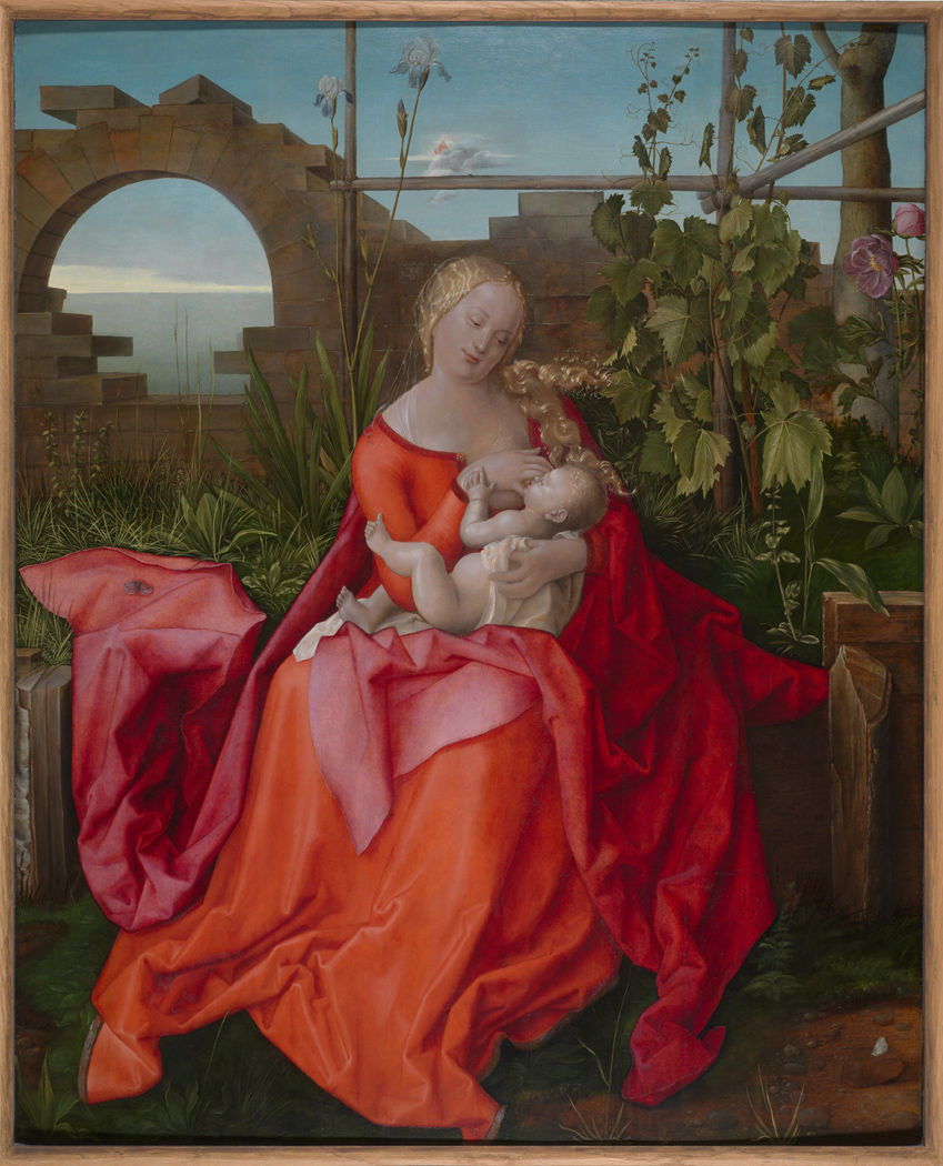 Matka Boża z Dzieciątkiem, Albrecht Dürer