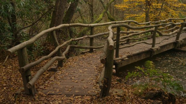 wooden bridge over the river in the forest