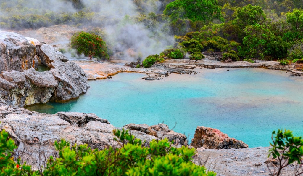 Park geotermalny Te Puia w Nowej Zelandii
