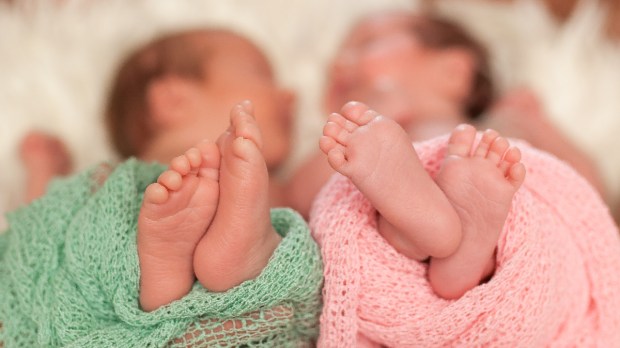 twins-babies-siblings-