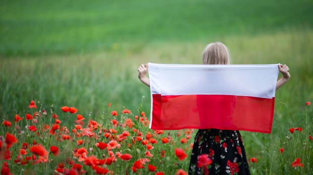 Dziewczynka trzyma flagę Polski stojąc na łące